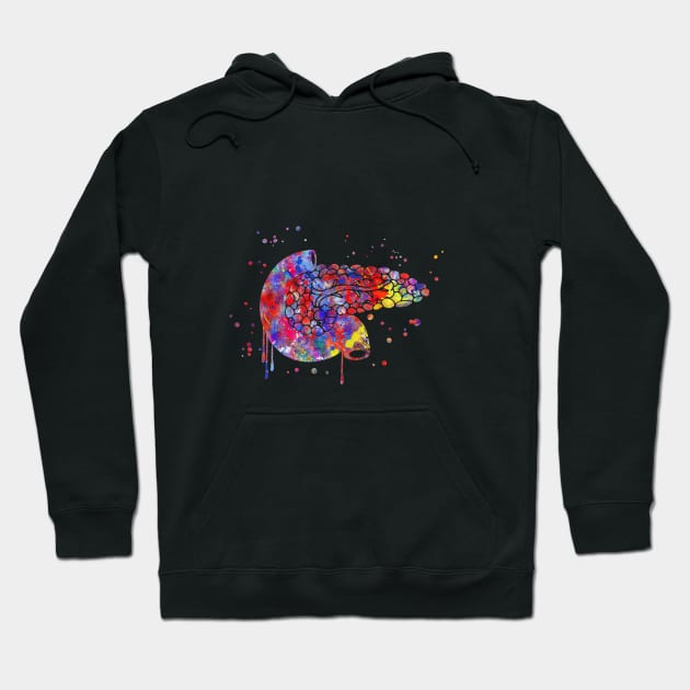 Pancreas Hoodie by RosaliArt